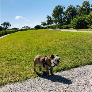 Meet your Posher, Alan